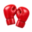 Boxing
