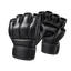 MMA
